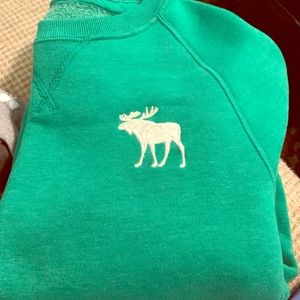 Abercrombie and Fitch sweatshirt